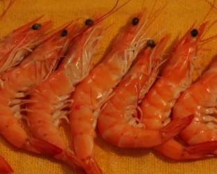 Prawns Orgy