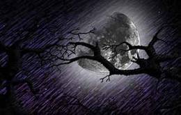 Strach